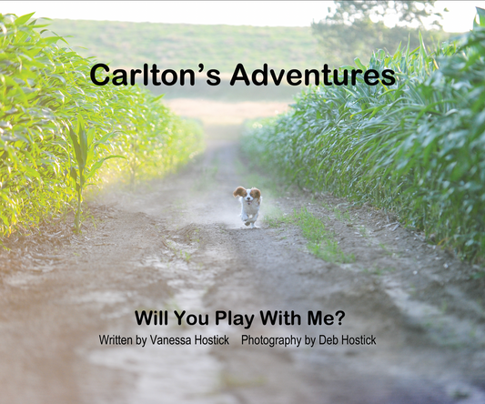 Carlton's Adventures ~ Will You Play With Me?